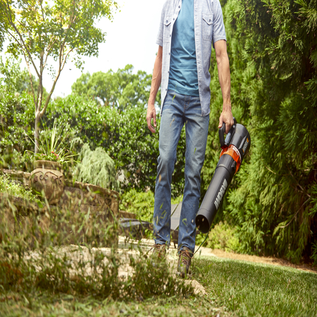 professional carpets paul